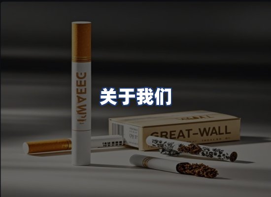 关于我们